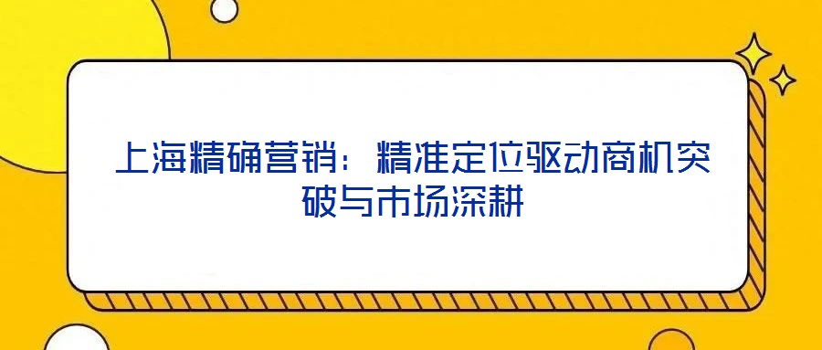 上海精確營銷:精準定位驅動商機突破與市場深耕