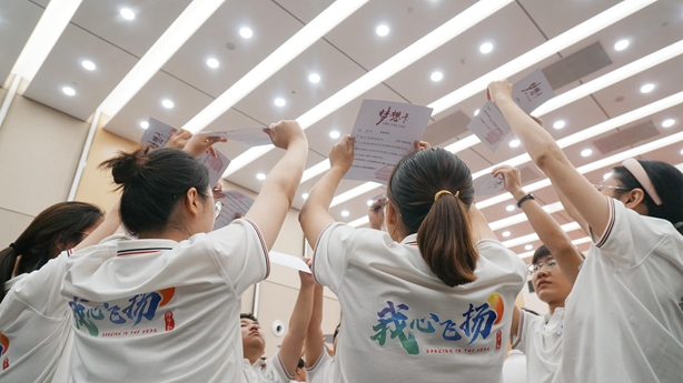 多元化發(fā)展路徑